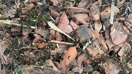 Broken Clay Roof Tiles Mixed with Dry Leaves and Wild Plants – Natural Texture Background for Recycling, Ecology, and Urban Decay Concepts