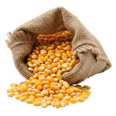 Vibrant golden corn kernels pour out of a textured burlap sack, symbolizing agriculture, harvest, and food production. Ideal for themes related to farming, food, and natural ingredients.