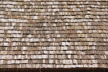 Old wood roof with dry vine on background