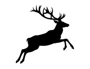 Black deer silhouette with antlers, perfect for logo design, nature themed graphics, hunting clubs, outdoor brands, and wildlife enthusiasts.