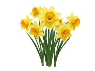 A cluster of bright yellow daffodils with green stems and leaves isolated on transparent background
