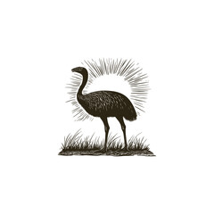 Emu bird design vector template illustration