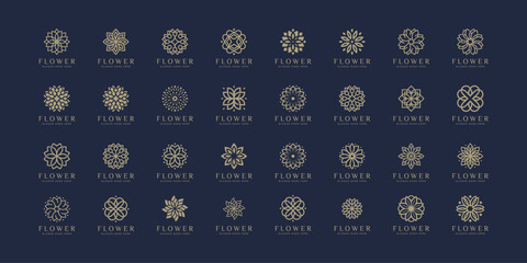 Set of Flower luxury logo design nature