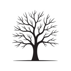 Obraz premium Silhouette of a Bare Tree with Intricate Branching Structure Against a Clean White Background Depicting Winter or Abstract Natural Art