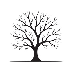 Obraz premium Silhouette of a Bare Tree with Intricate Branch Patterns Against a White Background, Evoking Simplicity and the Essence of Nature