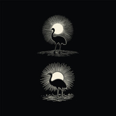 Emu bird design vector template illustration