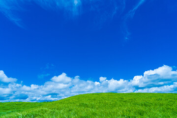 奈良県　曽爾高原　ススキの草原と青空