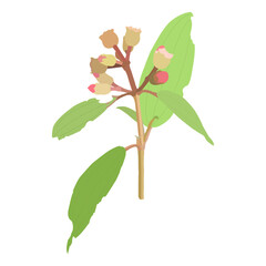 green leaf isolated on white