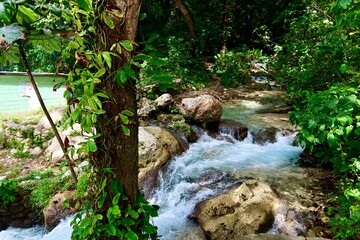 Pileta Natural - República Dominicana