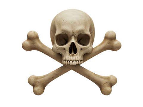 Realistic 3d rendered human skull and crossbones symbol isolated on transparent background