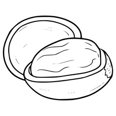 hazelnut illustration hand drawn outline vector
