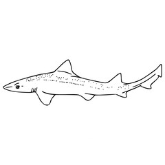 Obraz premium rig shark outline drawing