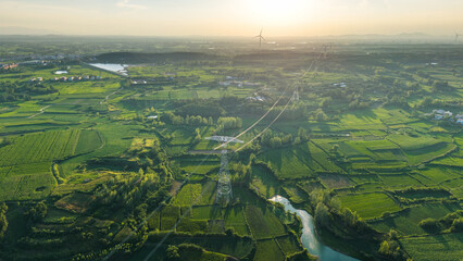 Aerial View of Lush Green Agricultural Fields at Sunset