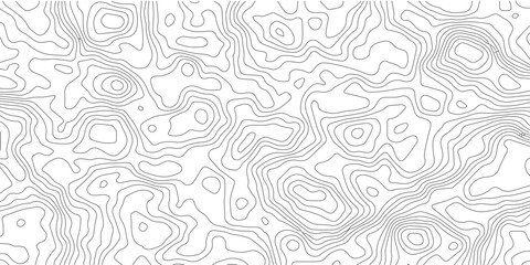Abstract seamless pattern with birds: a vintage floral illustration for textile design and fabric decoration