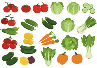 Array of vegetables tomatoes cucumbers cabbage carrots zucchini squash bok choy lettuce and potatoes neatly organized