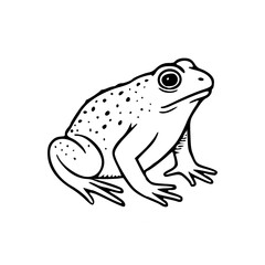simple cartoon frog vector illustration
