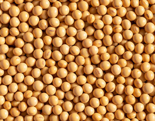 Yellow soybeans seamless pattern background texture