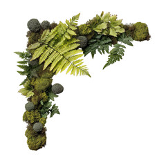 Tropical Foliage Corner with Natural Texture