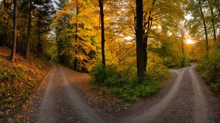 Obraz premium A winding dirt path through an autumn forest, lined with golden leaves under soft sunlight. 