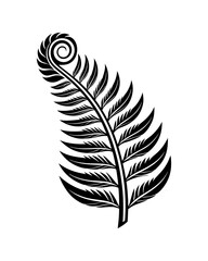 Obraz premium Black and white linocut illustration of a fern frond unfurling