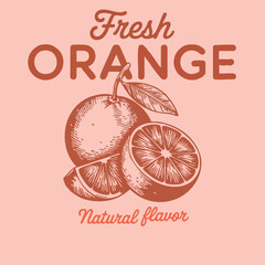 Vintage illustration of fresh oranges with text fruit