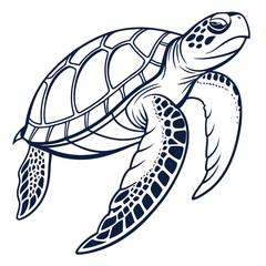 Cute cartoon turtle illustration for coloring book isolated on white background