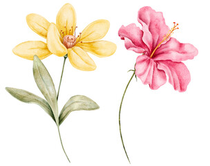 Watercolor floral clipart of yellow bloom and a pink hibiscus with soft green leaves isolated on white. Hand painted with gentle tones, suitable for cards, textiles, or art prints. © Evgeniia