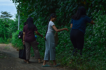 On their walk to the beach, the girls stop to examine tiny white flowers blooming from a patch of...