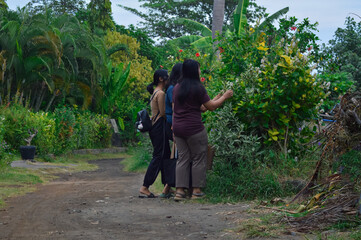 Amid bright garden flowers, the girls share a cheerful moment while observing petals and greenery...