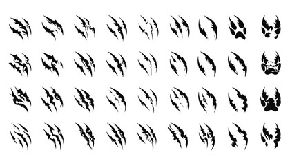 Various animal claw and paw prints