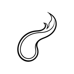 Obraz premium ash curl