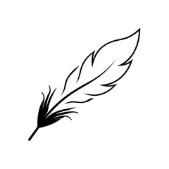 Obraz premium feather storm
