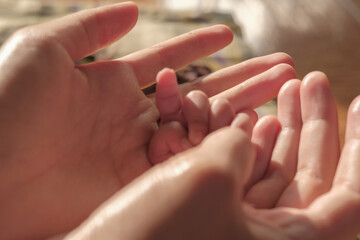 Protective hands cradle tiny infant fingers