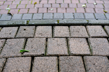 Textured brick path with mossy edge