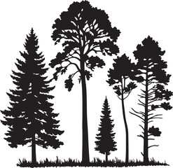Vector Silhouettes of Trees – Pine, Spruce, Fir, and Deciduous Tree Shapes in Black and White