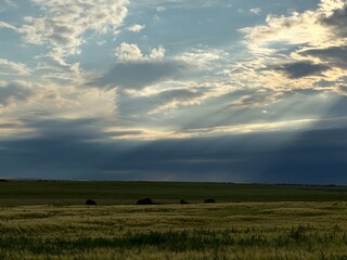 Fototapeta premium peaceful rural landscape view looking out across an open field. Captures the quiet beauty of farmland, with wide skies and natural terrain symbolizing agricultural life and countryside serenity.