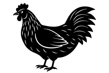 Fototapeta premium Rooster vector illustration isolated on white background with farm animal and poultry designRooster vector illustration isolated on white background with farm animal and poultry design