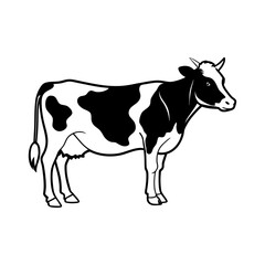 Vector art of a classic black and white cow illustration isolated on white background, depicting a dairy cow in a simple and elegant design