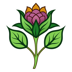 vector illustration of mandrake flower