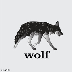 Wolf Vector illustration. Wolf Vintage Logo