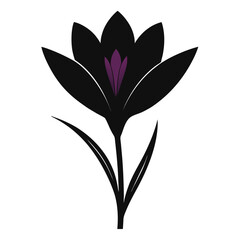 black and white flowers