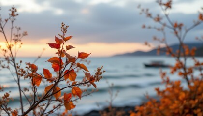 Autumn Foliage Overlooking Coastal Sunset