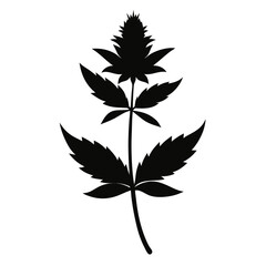 leaf silhouette vector illustration