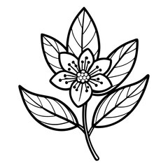 black and white flower