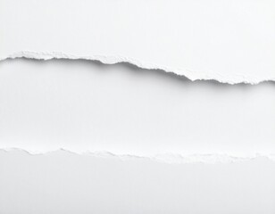 Torn Paper Edge