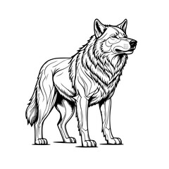 Fototapeta premium Majestic Wolf Illustration