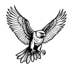 Obraz premium Striking black and white illustration of a magnificent raptor soaring with wings fully extended, embodying the essence of power, freedom, and untamed wilderness in a dynamic, stoic pose.