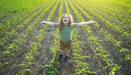 Farmer child work in corn field. Kid in the countryside. Child farmer on field. Harvest season,...