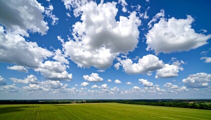 Wide open expanse of a vibrant green field stretching to a horizon beneath a vibrant blue sky filled with fluffy white cumulus clouds