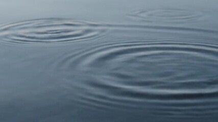 ultiple raindrops falling in slow motion, creating a complex pattern of interfering ripples on a calm, dark water surface - Powered by Adobe